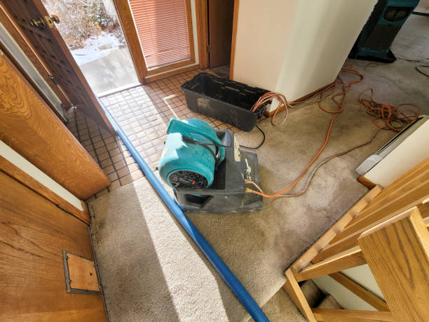 Best Flood restoration services  in Calabash, NC