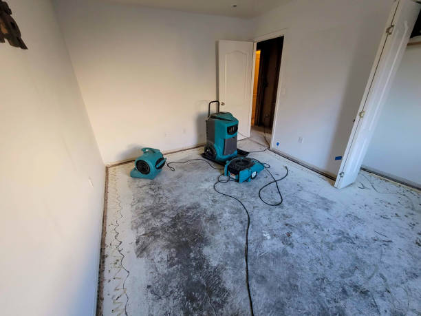  Calabash, NC Water damage restoration Pros