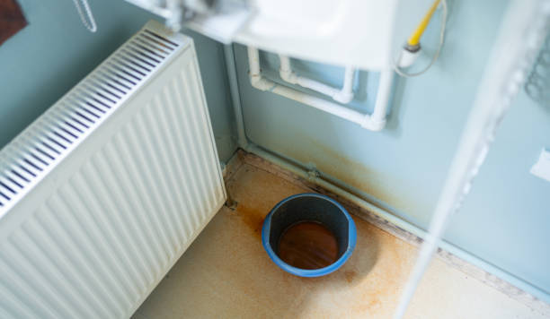 Best Water damage mitigation services  in Calabash, NC