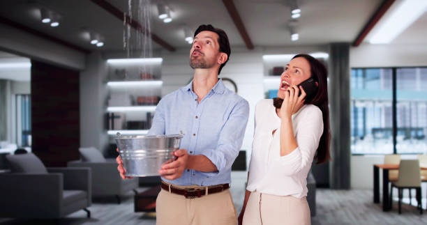 Best Flooded house restoration  in Calabash, NC